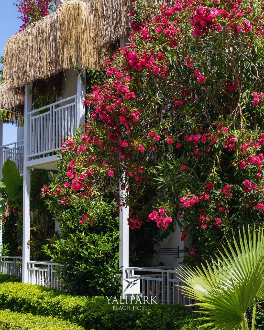 Sfeerbeeld 2 van Yalipark Hotel in Bodrum